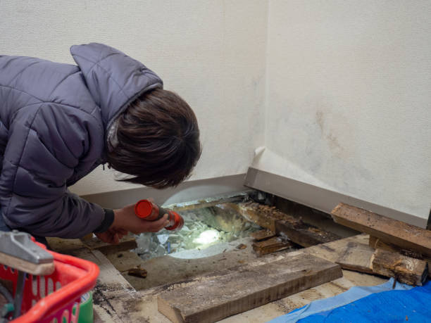 Best Post-Construction Mold Inspection  in Greenhills, OH