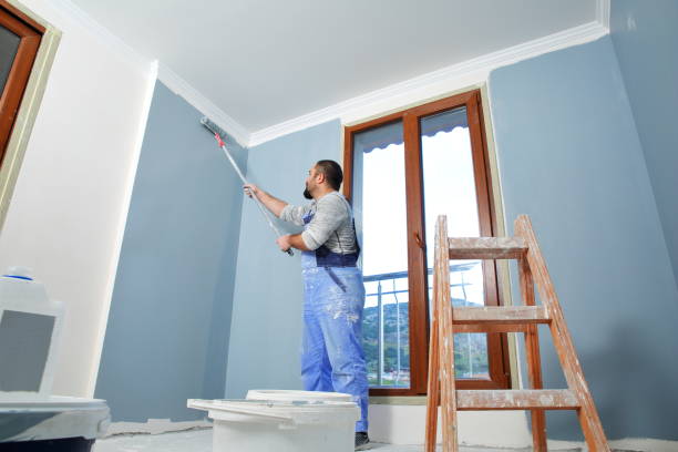 Best Attic Mold Removal  in Greenhills, OH