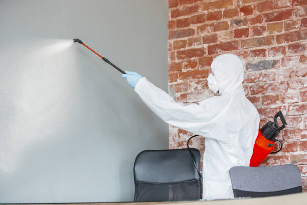 Best Residential Mold Inspection & Testing  in Greenhills, OH